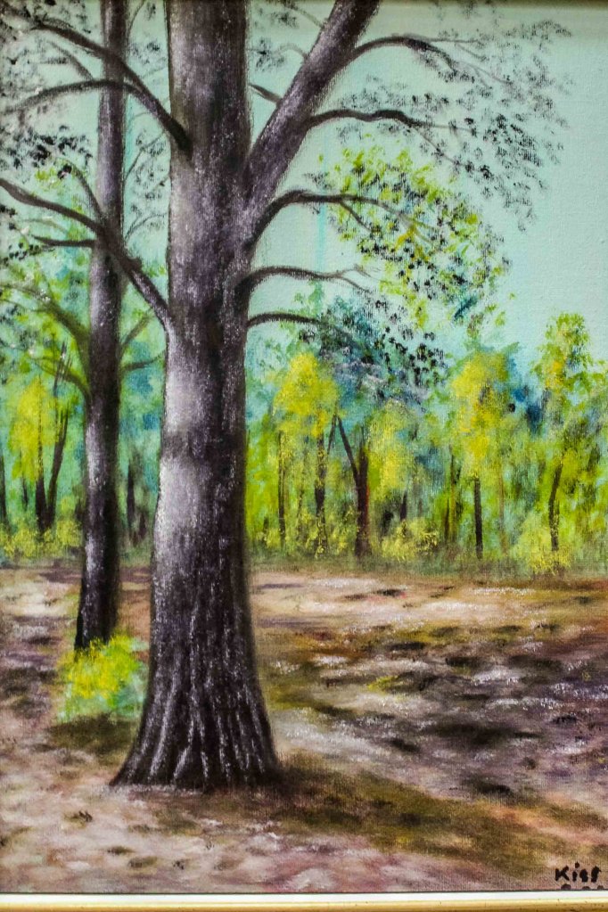 Hazai tájakon... 49